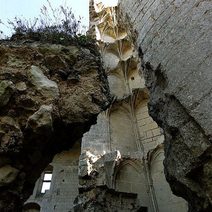 Photo de Château de Lavardin