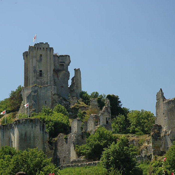 Photo de Château de Lavardin