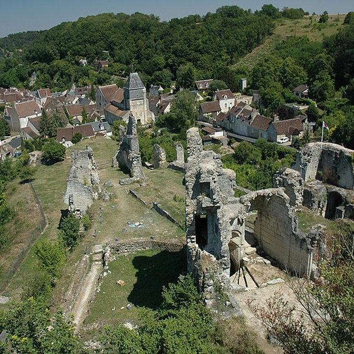 Photo de Château de Lavardin