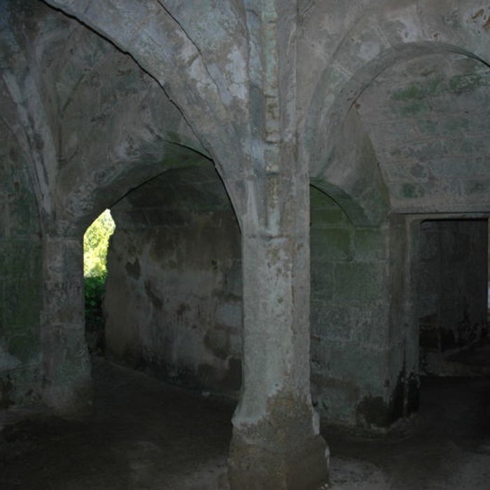 Photo de Château de Lavardin