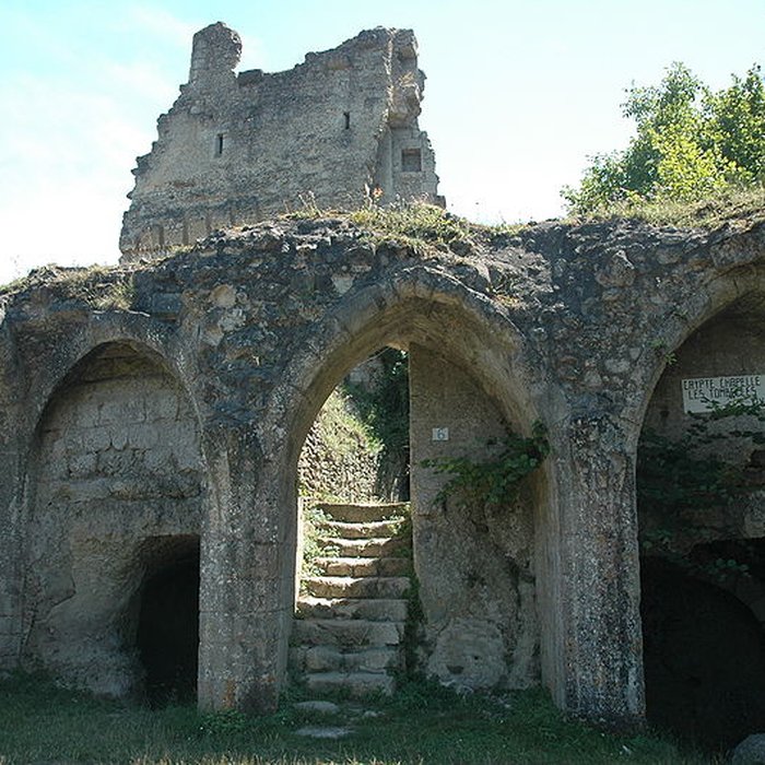 Photo de Château de Lavardin