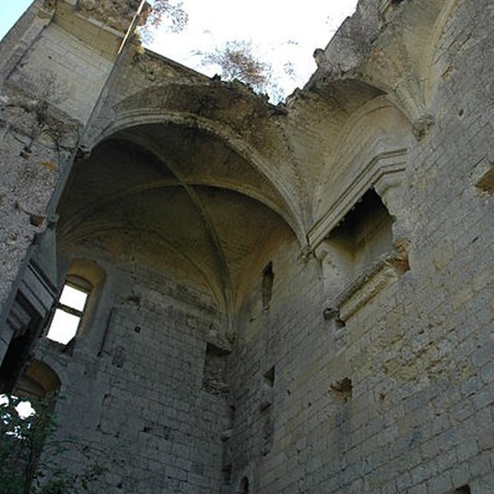 Photo de Château de Lavardin