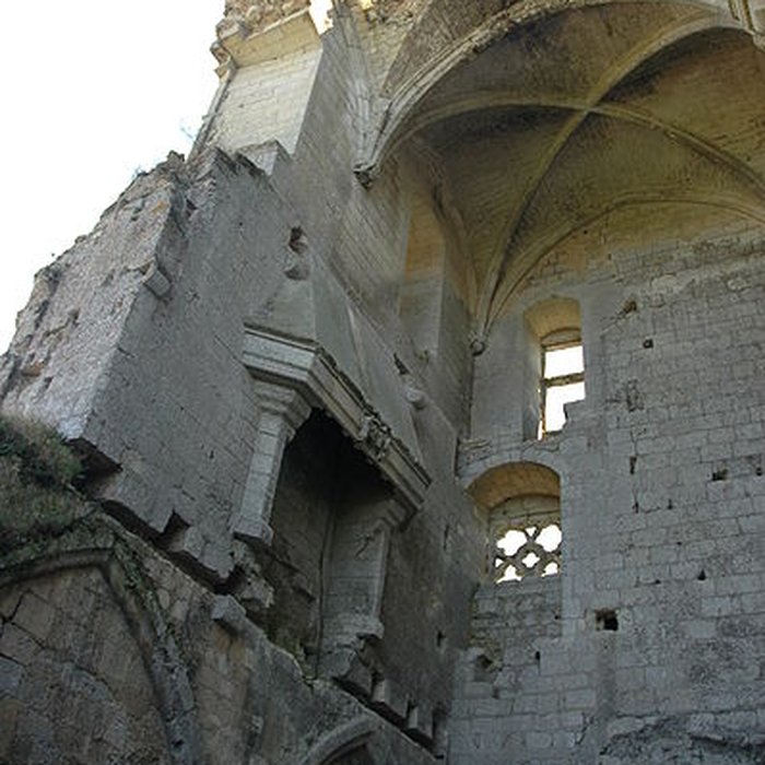Photo de Château de Lavardin