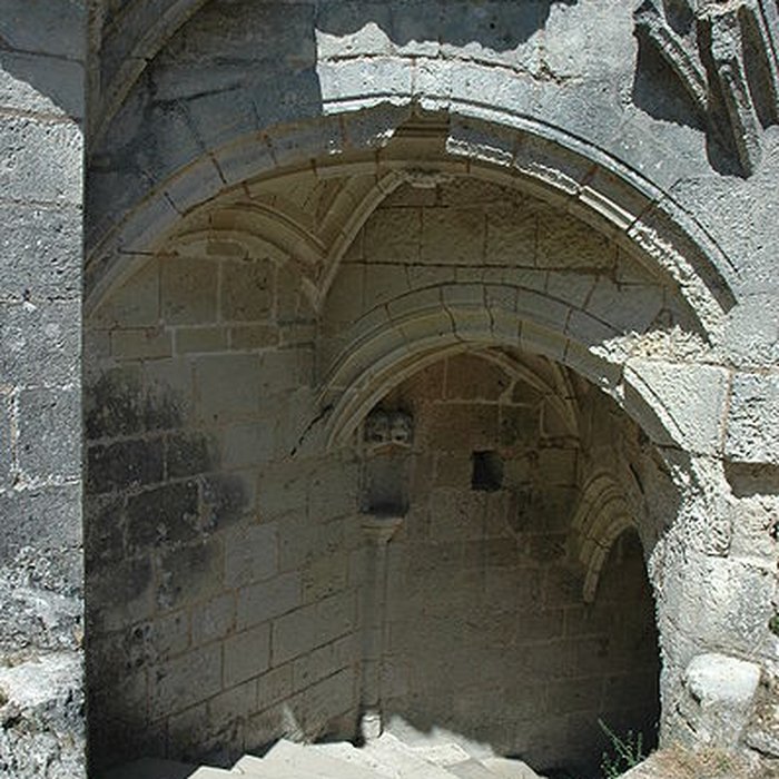 Photo de Château de Lavardin