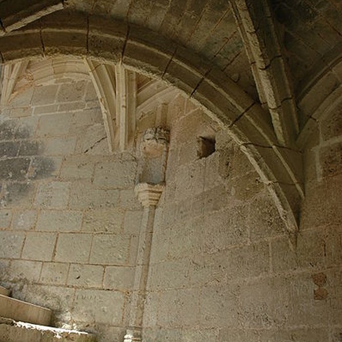 Photo de Château de Lavardin