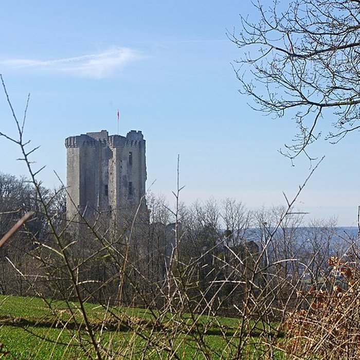 Photo de Château de Lavardin
