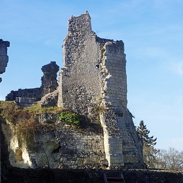 Photo de Château de Lavardin