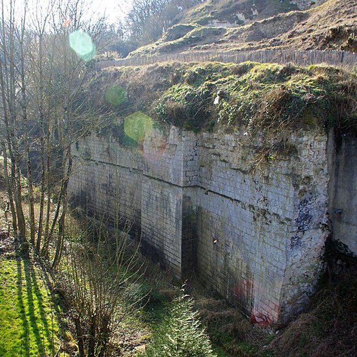 Photo de Château de Lavardin
