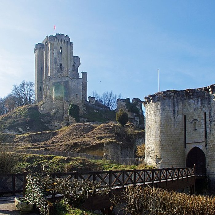 Photo de Château de Lavardin