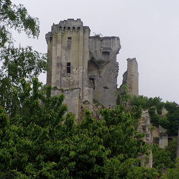 Photo de Château de Lavardin