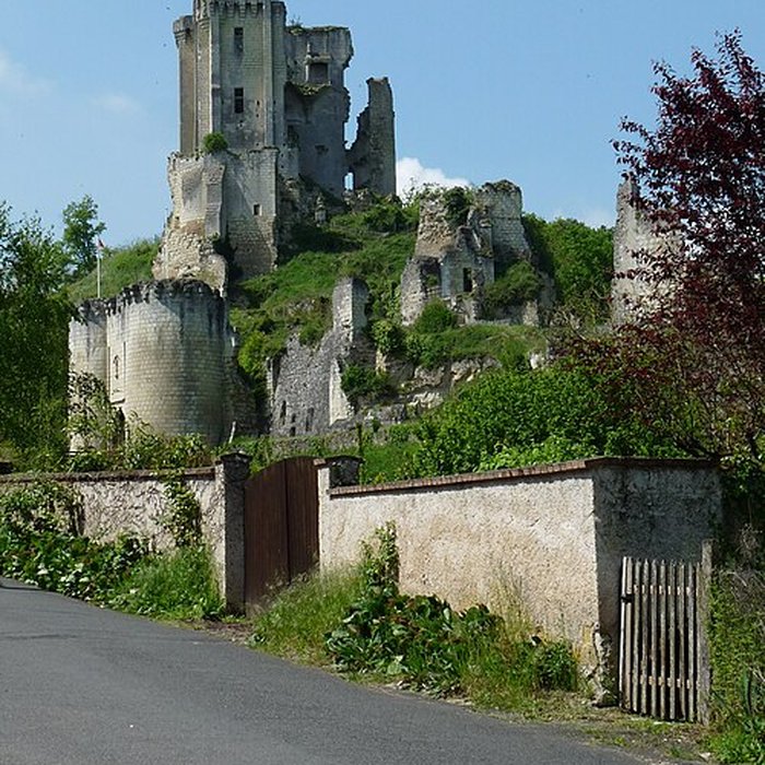 Photo de Château de Lavardin