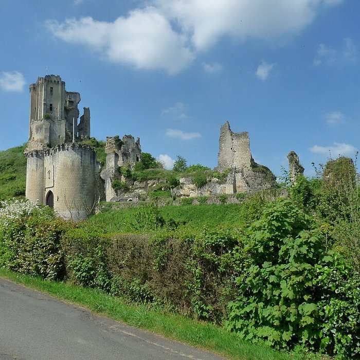 Photo de Château de Lavardin