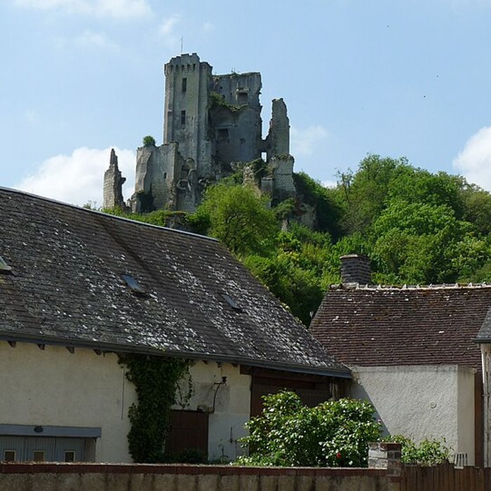 Photo de Château de Lavardin