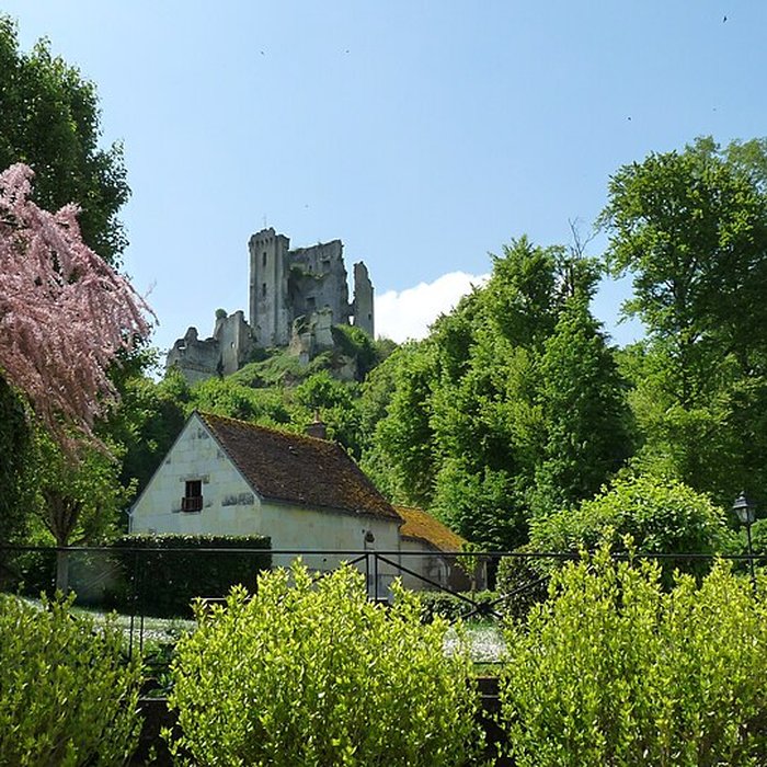 Photo de Château de Lavardin