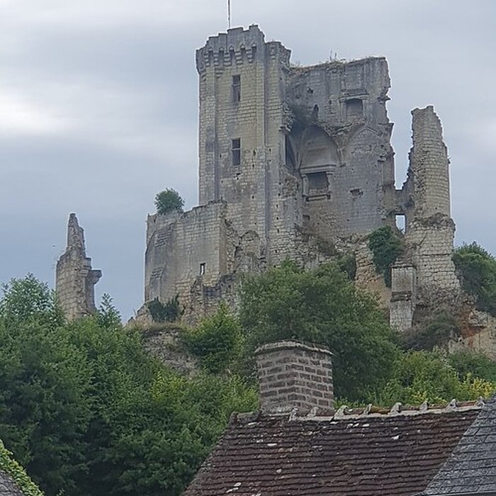 Photo de Château de Lavardin