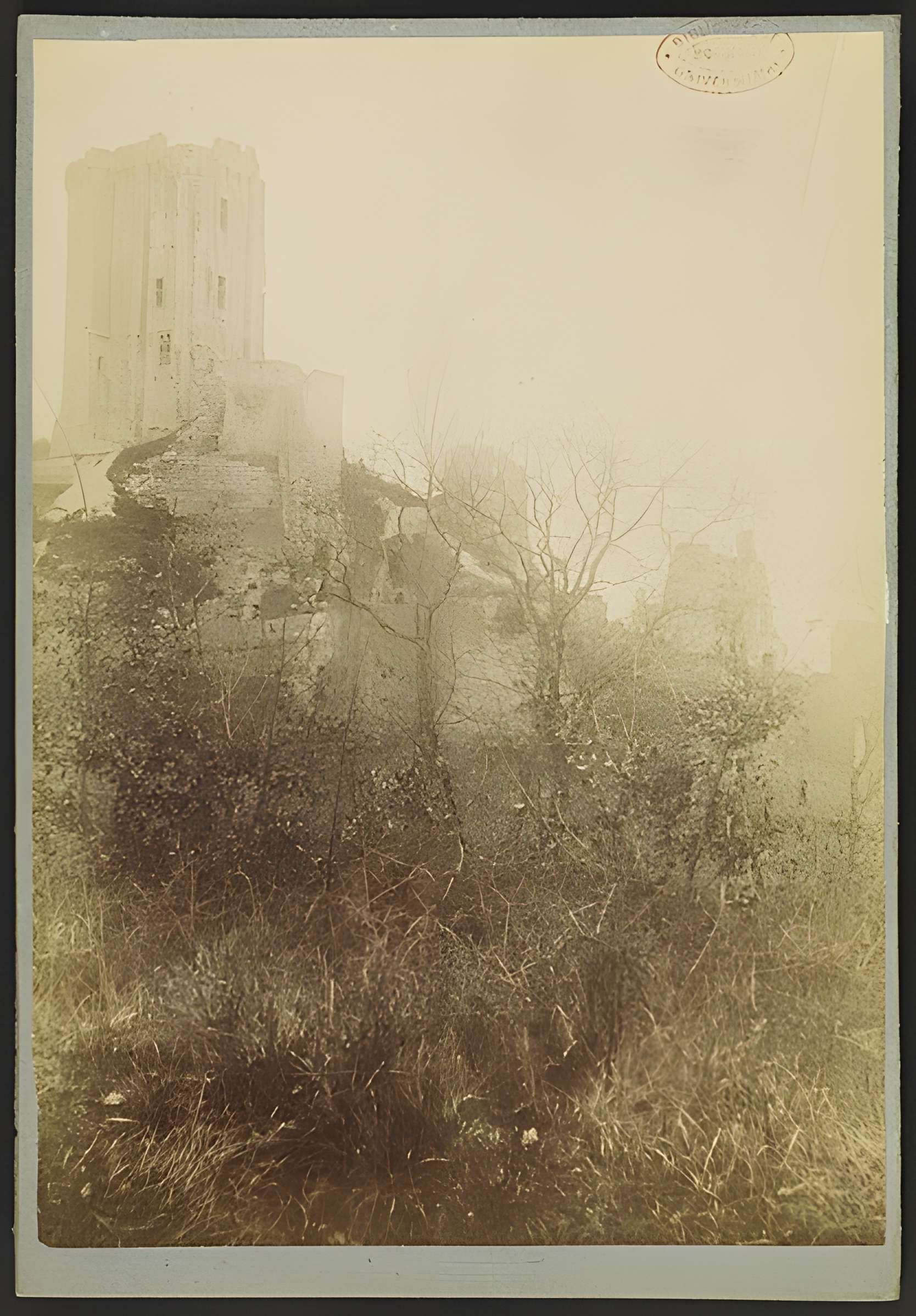 Château de Lavardin