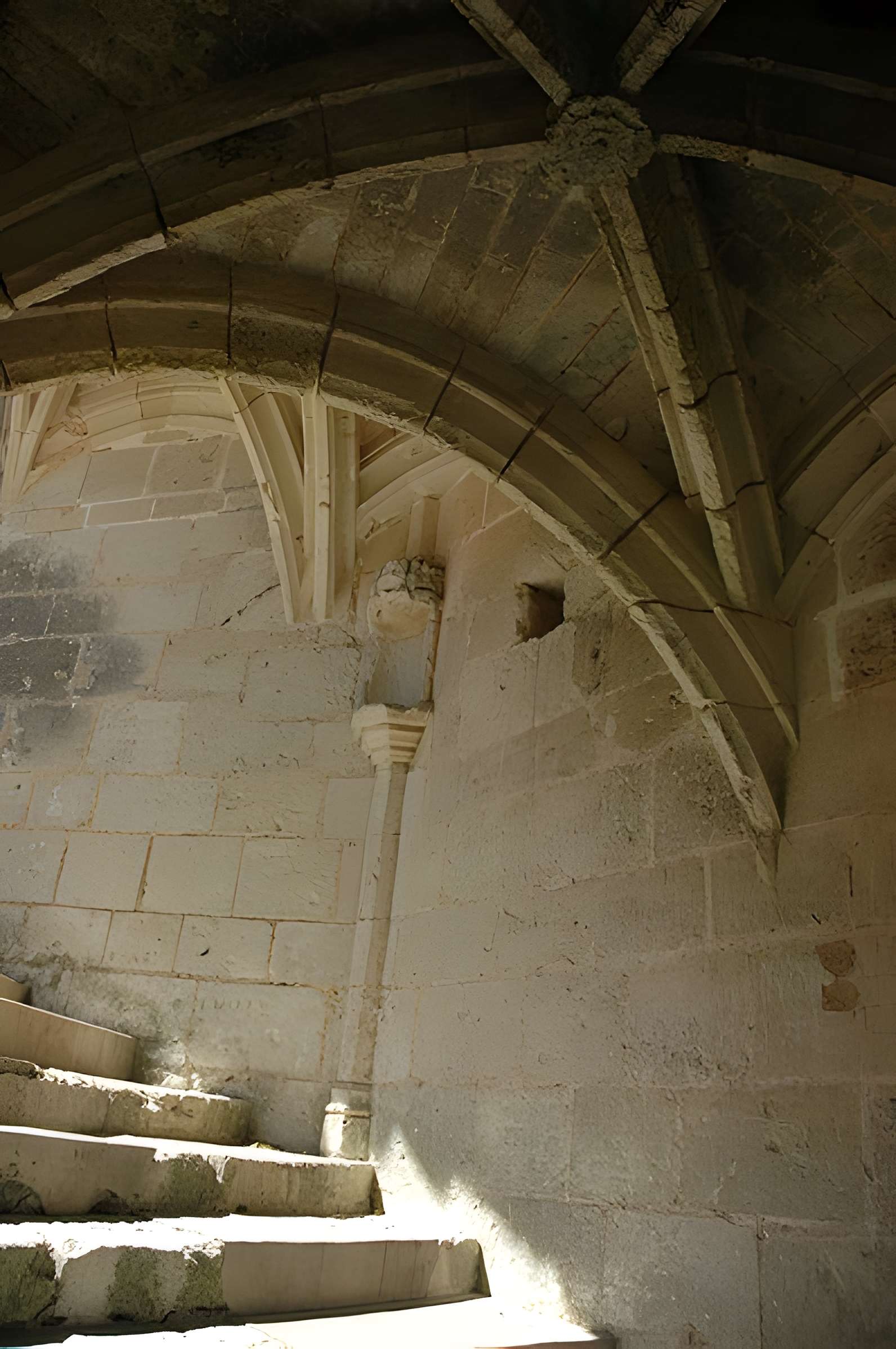 Château de Lavardin