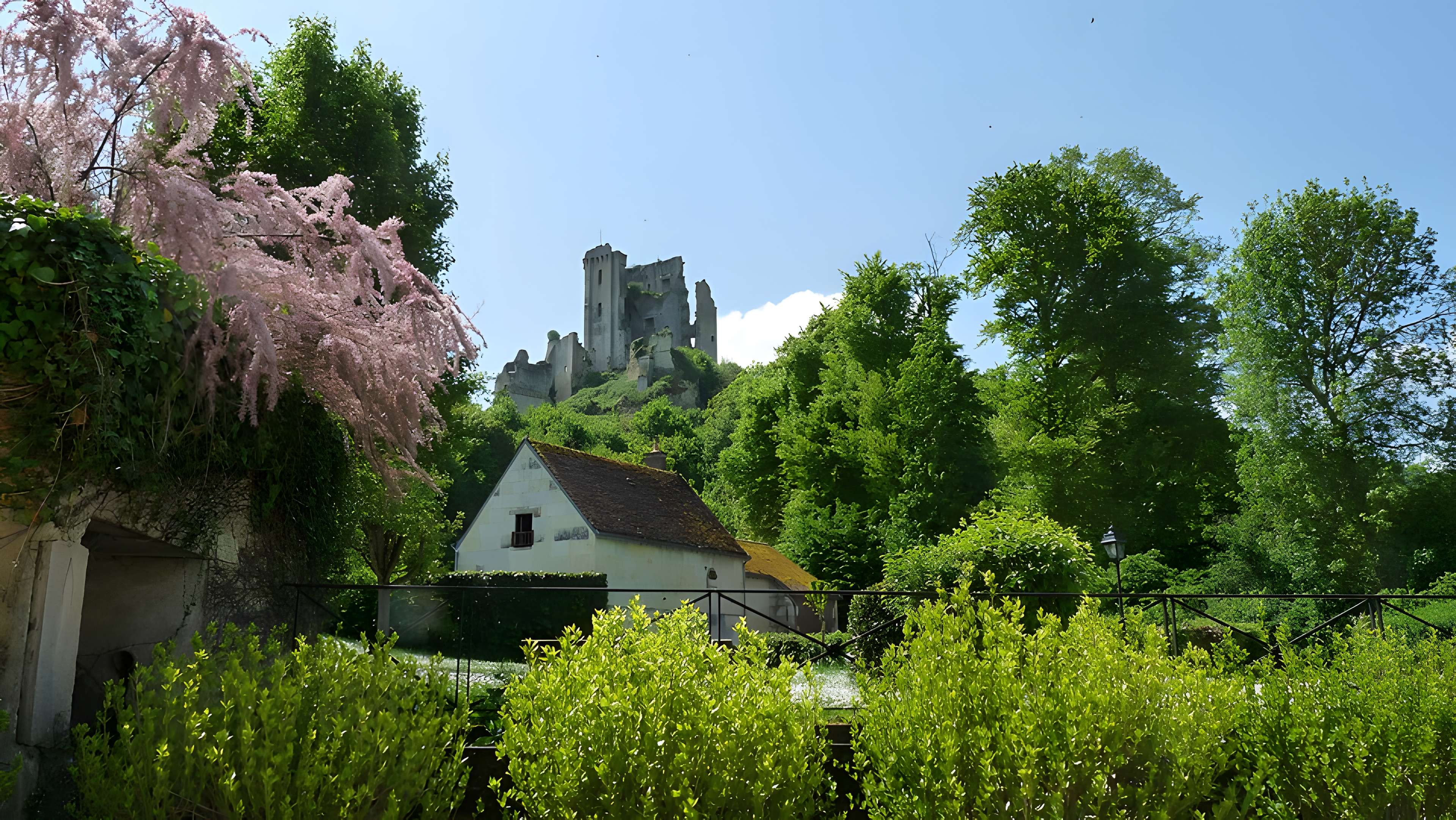 Château de Lavardin