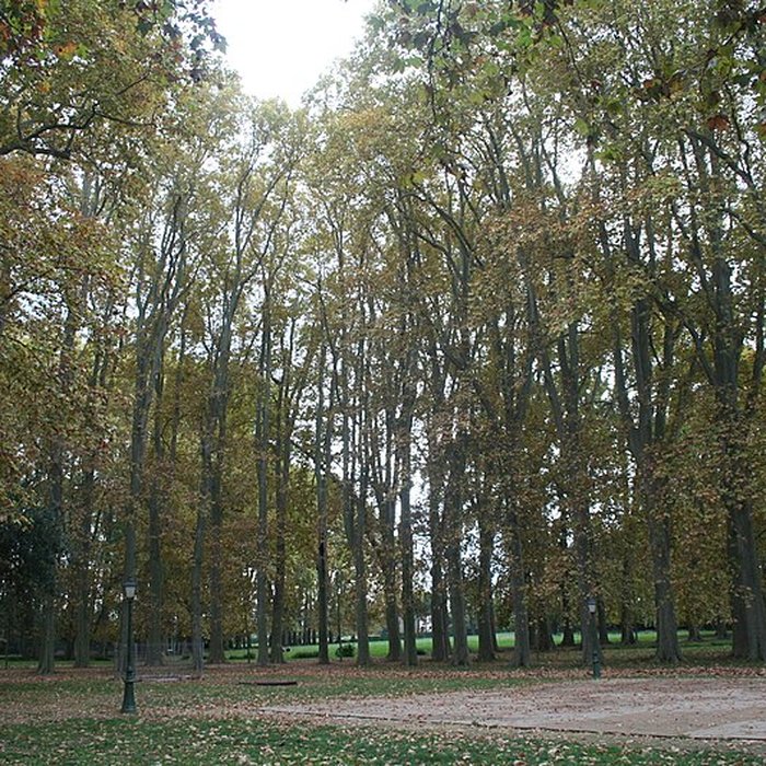 Photo de Château des évêques de Montpellier