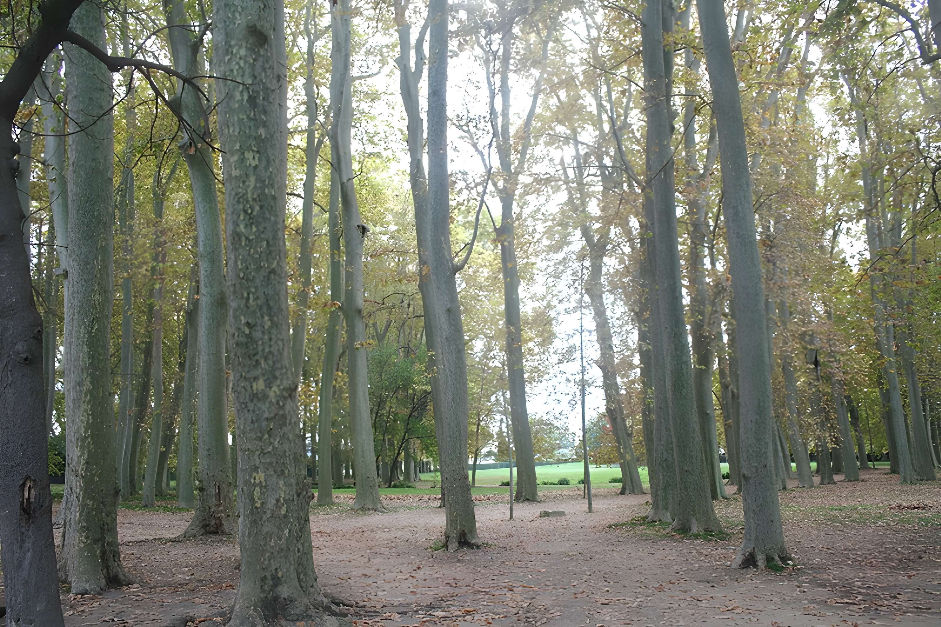 Château des évêques de Montpellier
