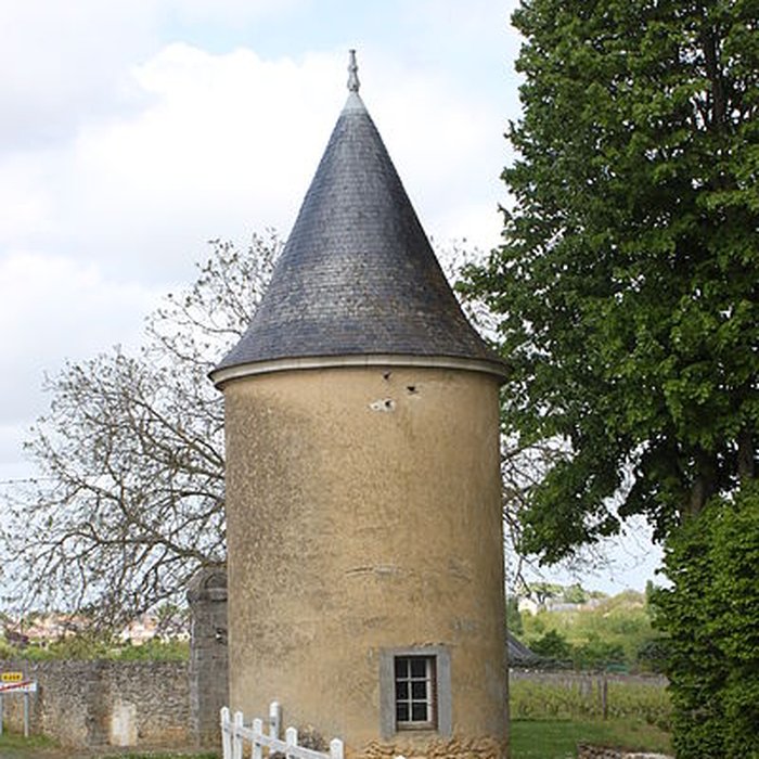 Photo de Château des Noyers à Martigné-Briand