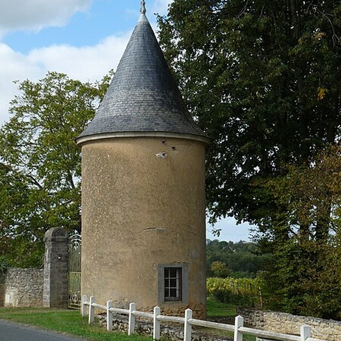 Photo de Château des Noyers à Martigné-Briand