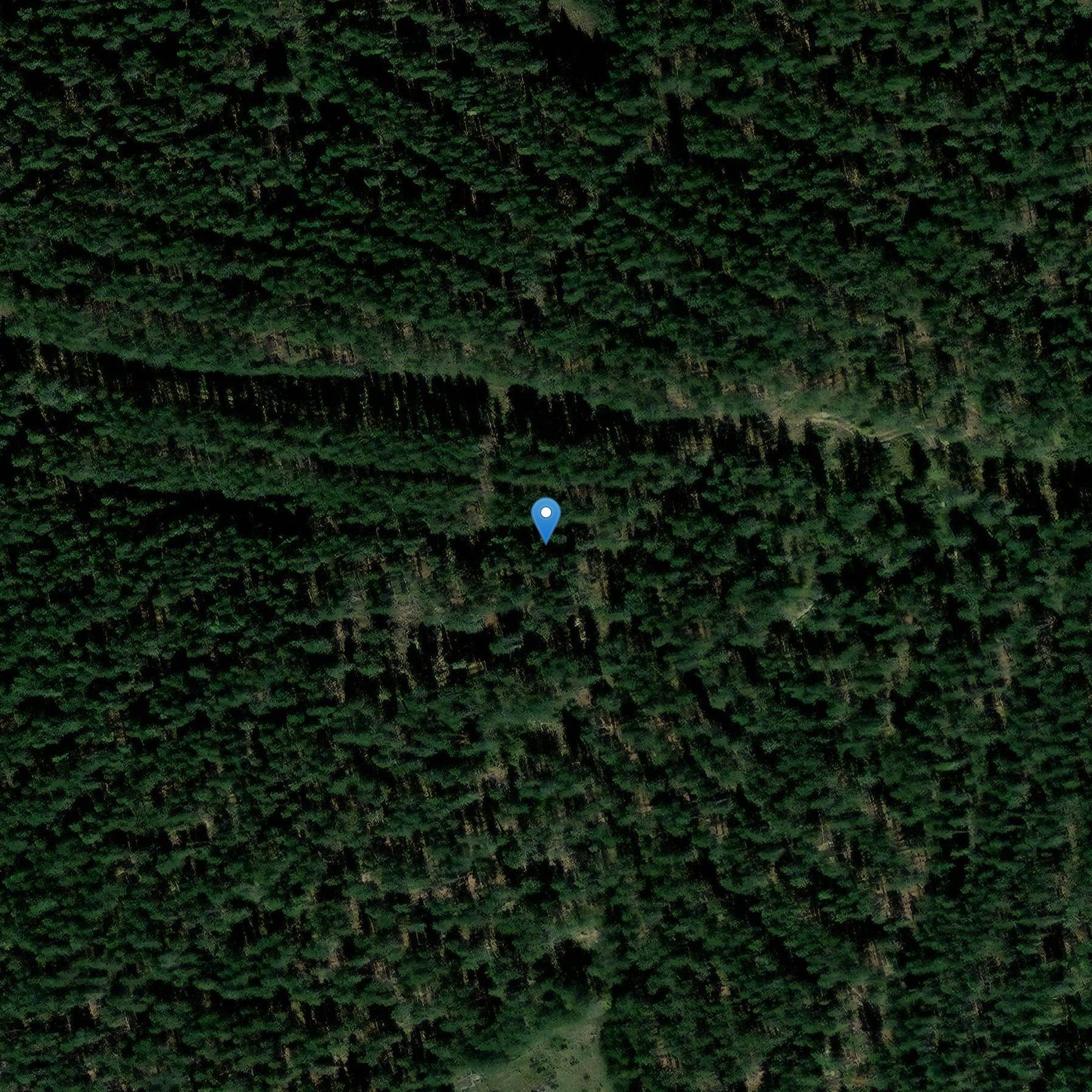 Photo de 圣彼得会