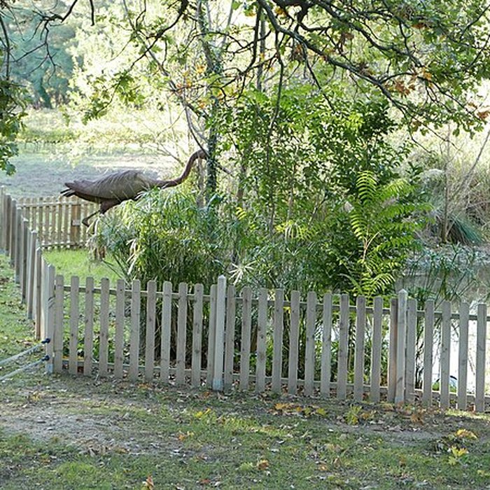 Photo de Château dEstoublon
