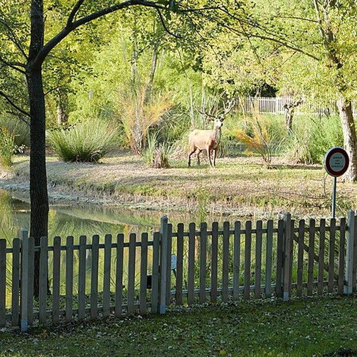Photo de Château dEstoublon