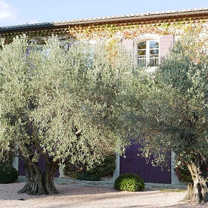 Photo de Château dEstoublon