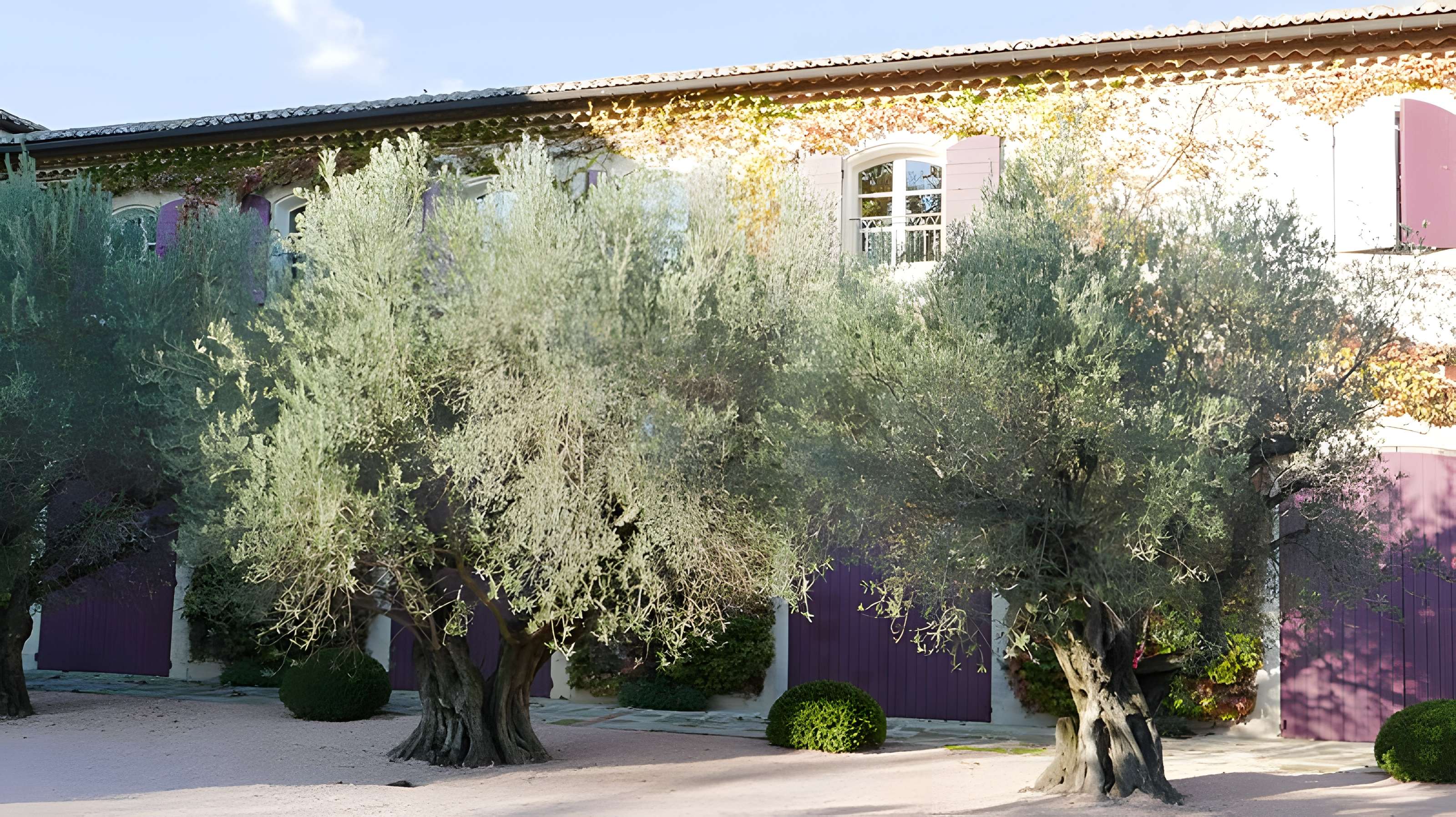 Château d'Estoublon