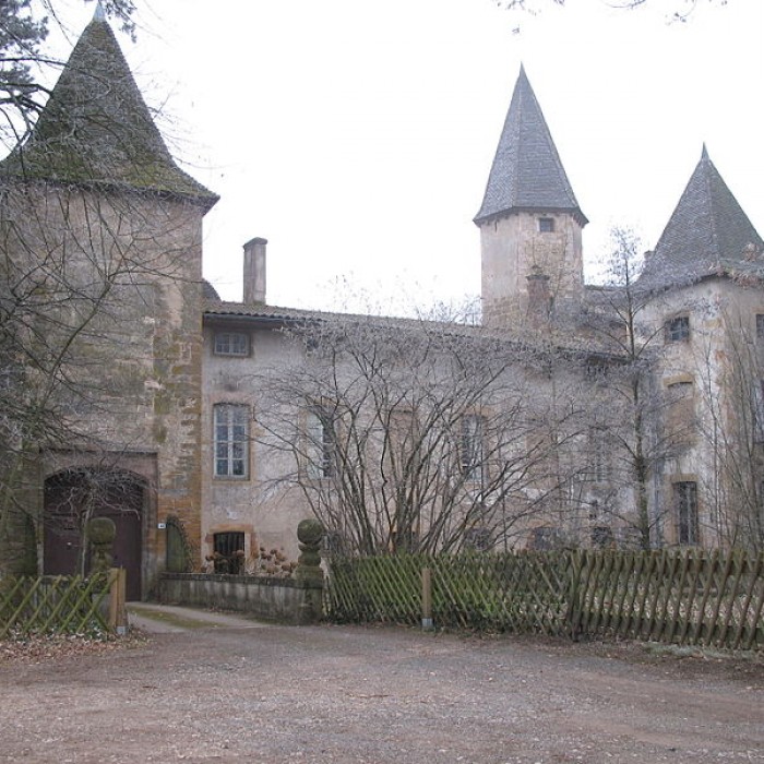 Photo de Château dEstours