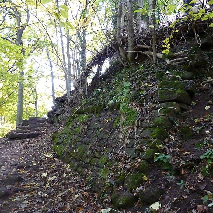 Photo de Ruines du château Ochsenstein