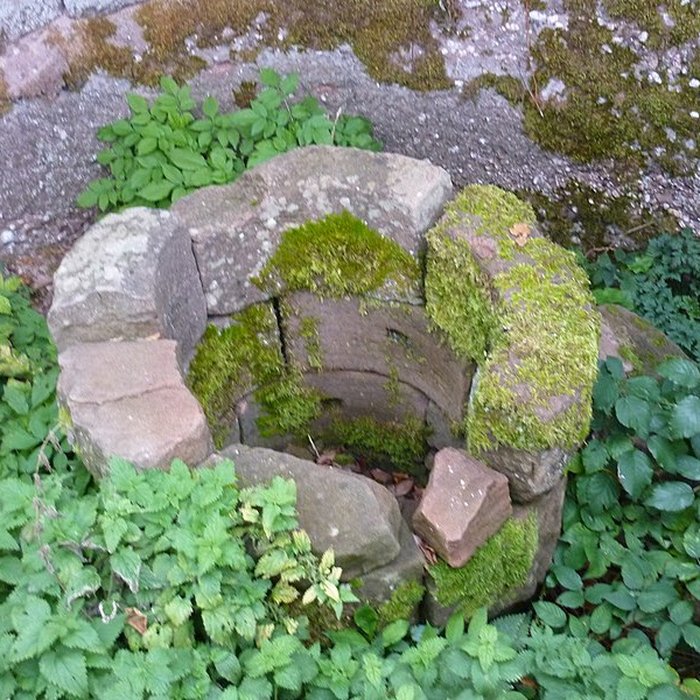 Photo de Ruines du château Ochsenstein