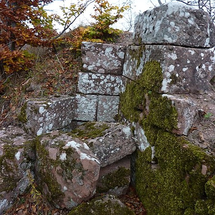 Photo de Ruines du château Ochsenstein