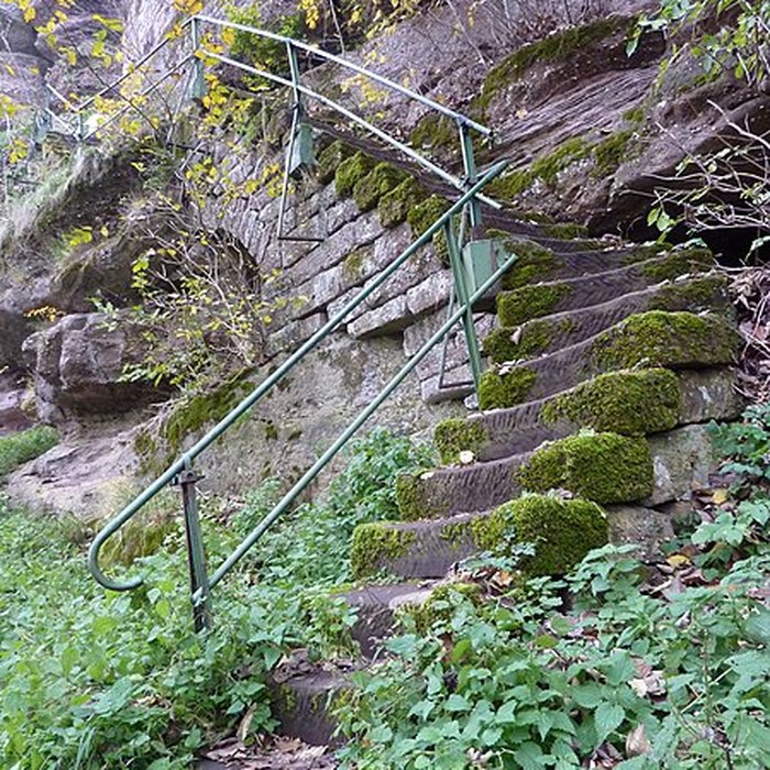Photo de Ruines du château Ochsenstein