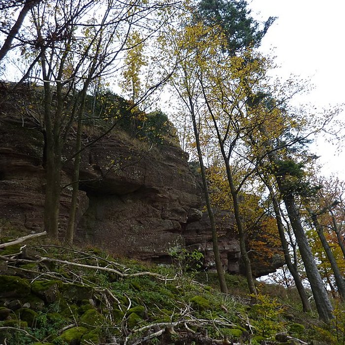 Photo de Ruines du château Ochsenstein