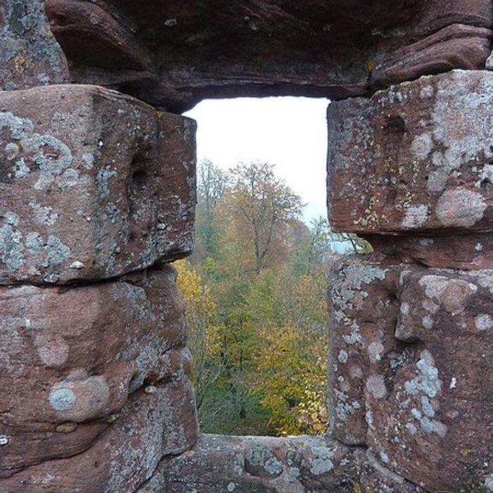 Photo de Ruines du château Ochsenstein