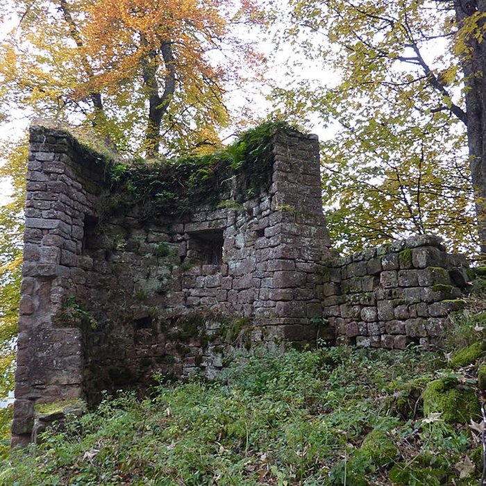 Photo de Ruines du château Ochsenstein