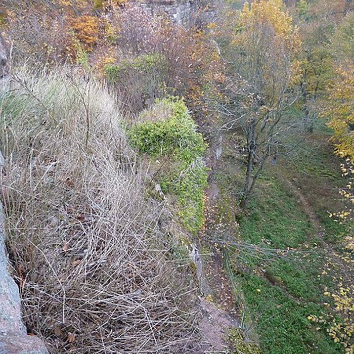Photo de Ruines du château Ochsenstein