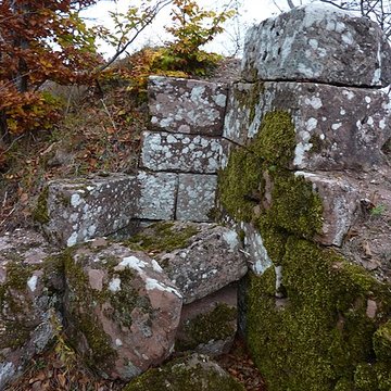 Ruines du château Ochsenstein