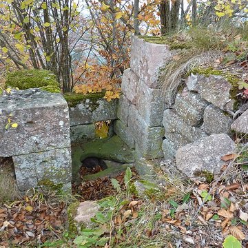Ruines du château Ochsenstein