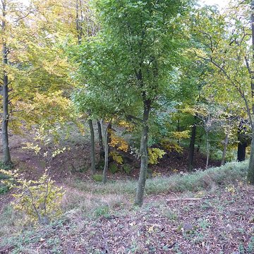 Ruines du château Ochsenstein