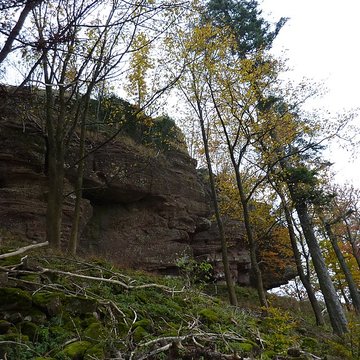 Ruines du château Ochsenstein