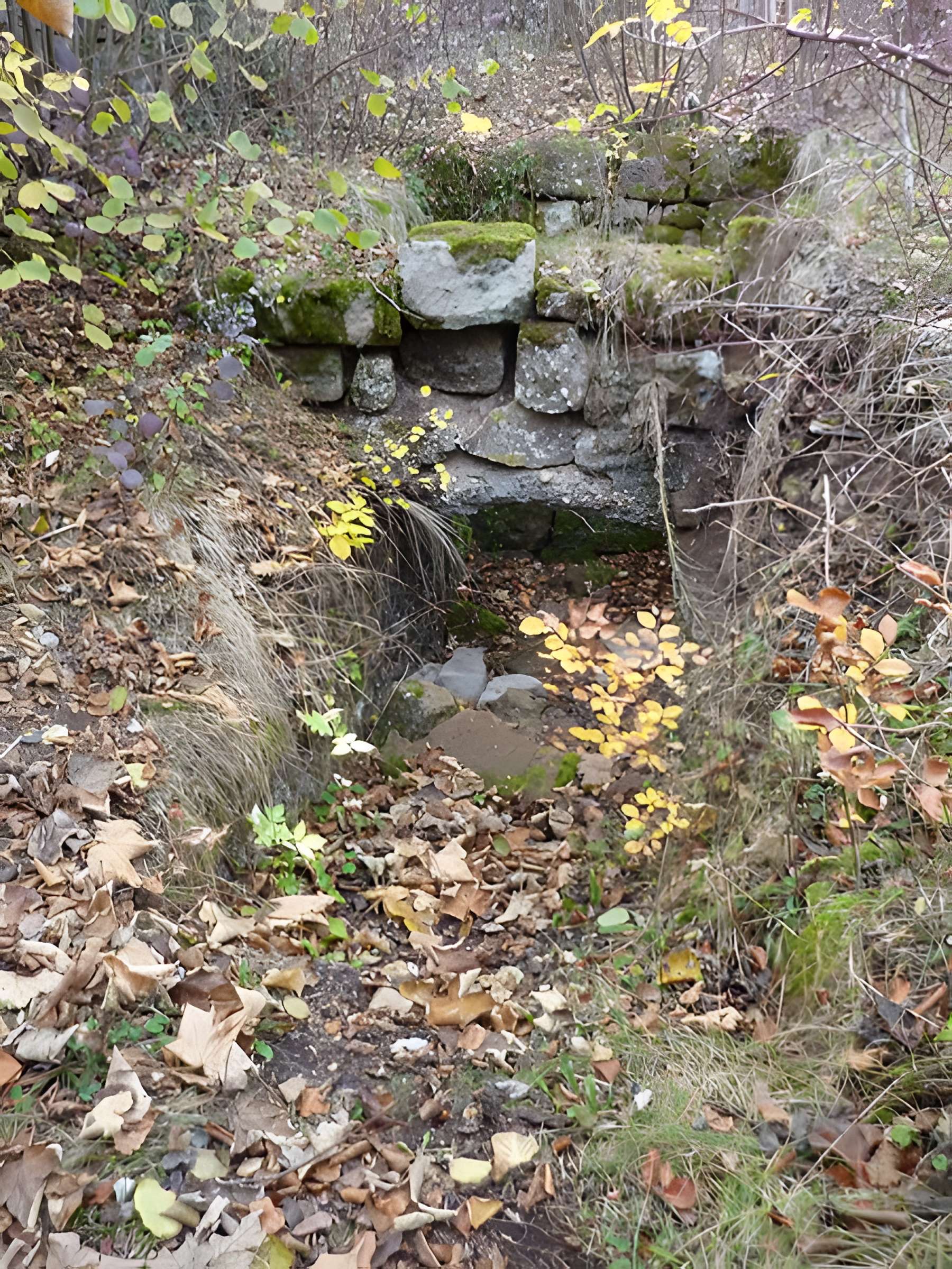 Ruines du château Ochsenstein