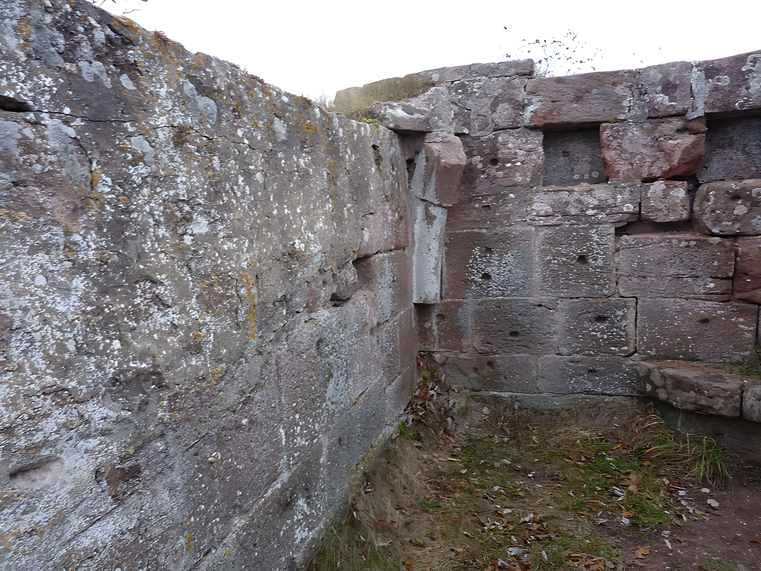 Ruines du château Ochsenstein
