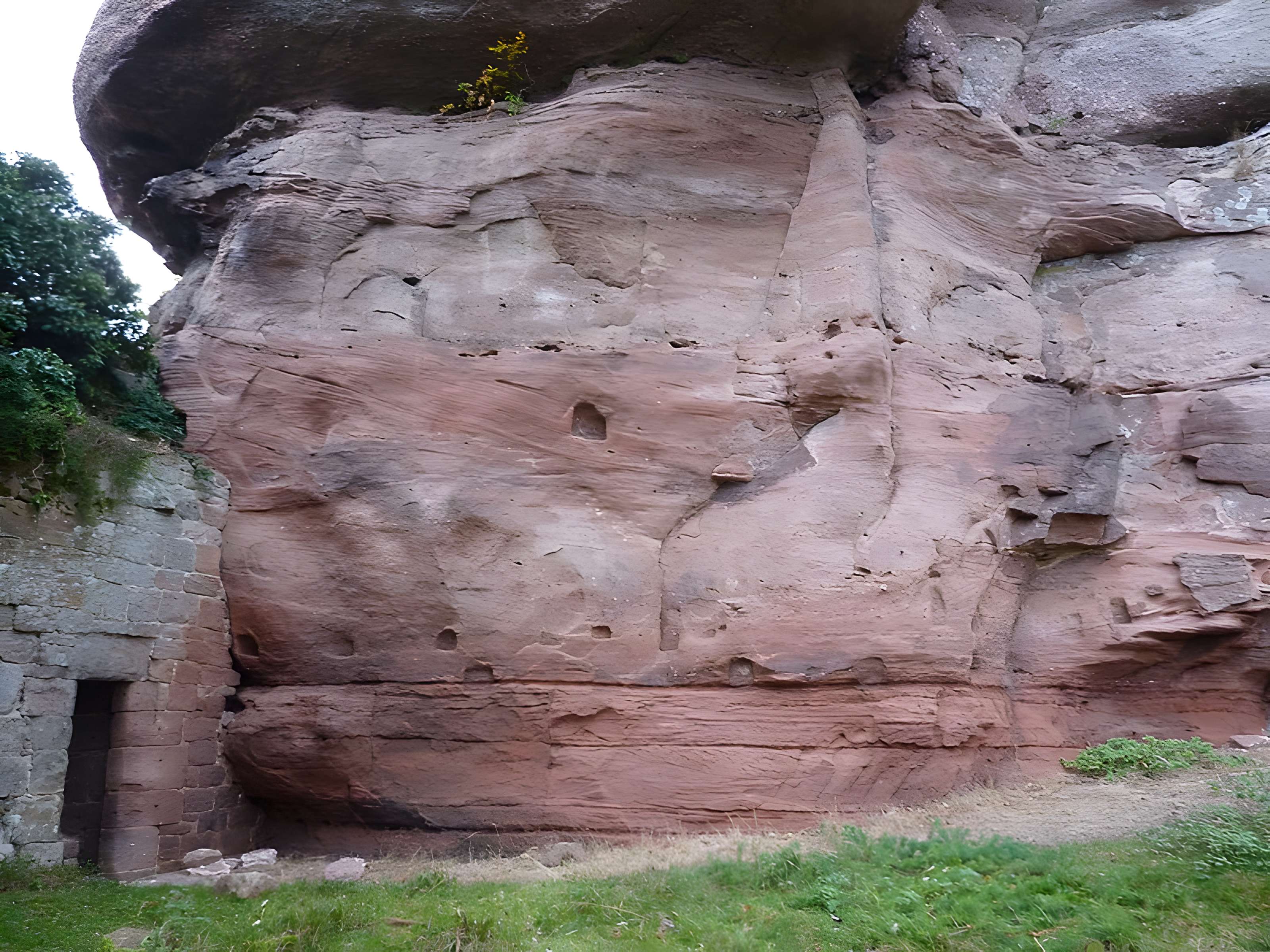 Ruines du château Ochsenstein