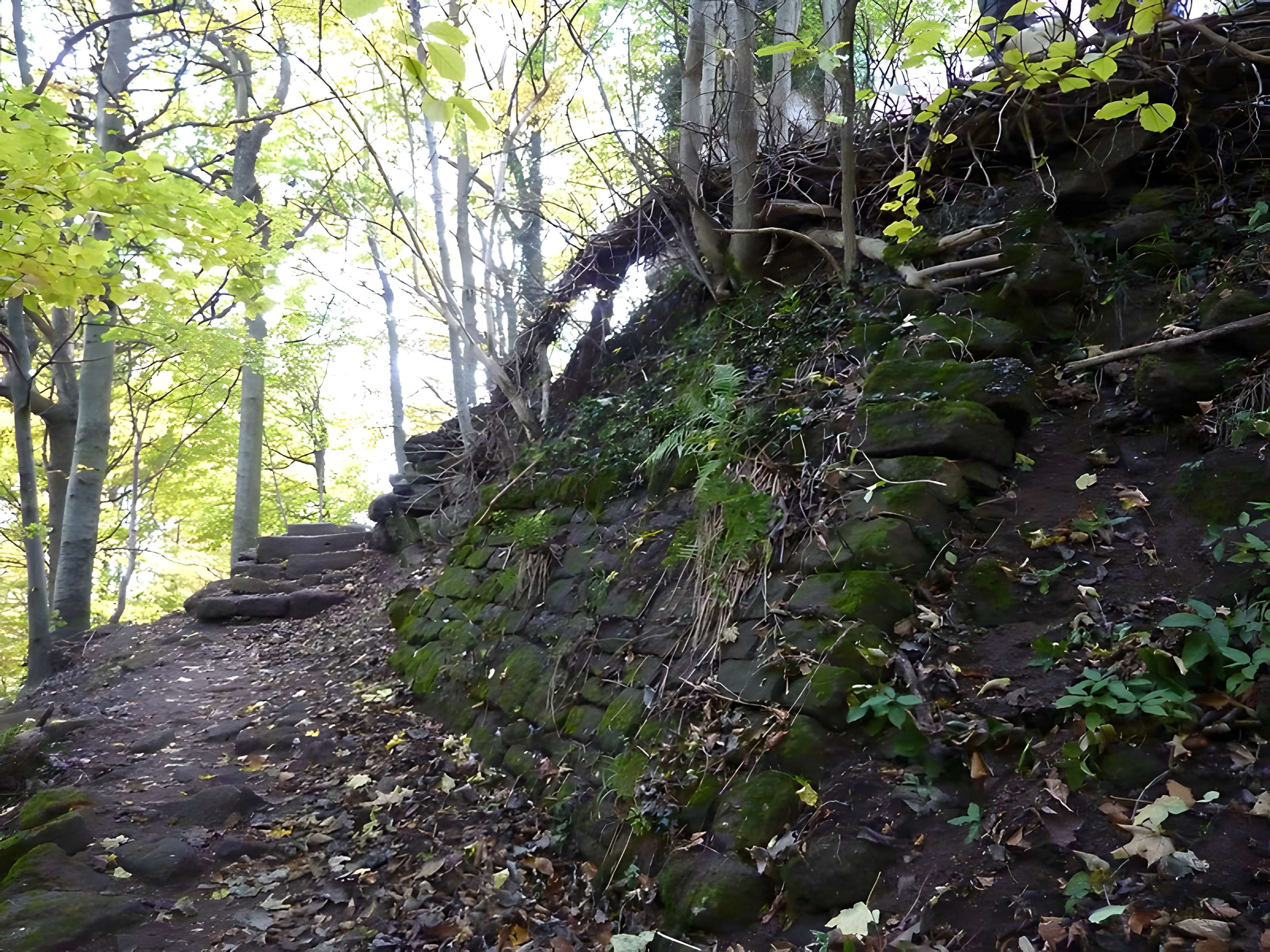 Ruines du château Ochsenstein