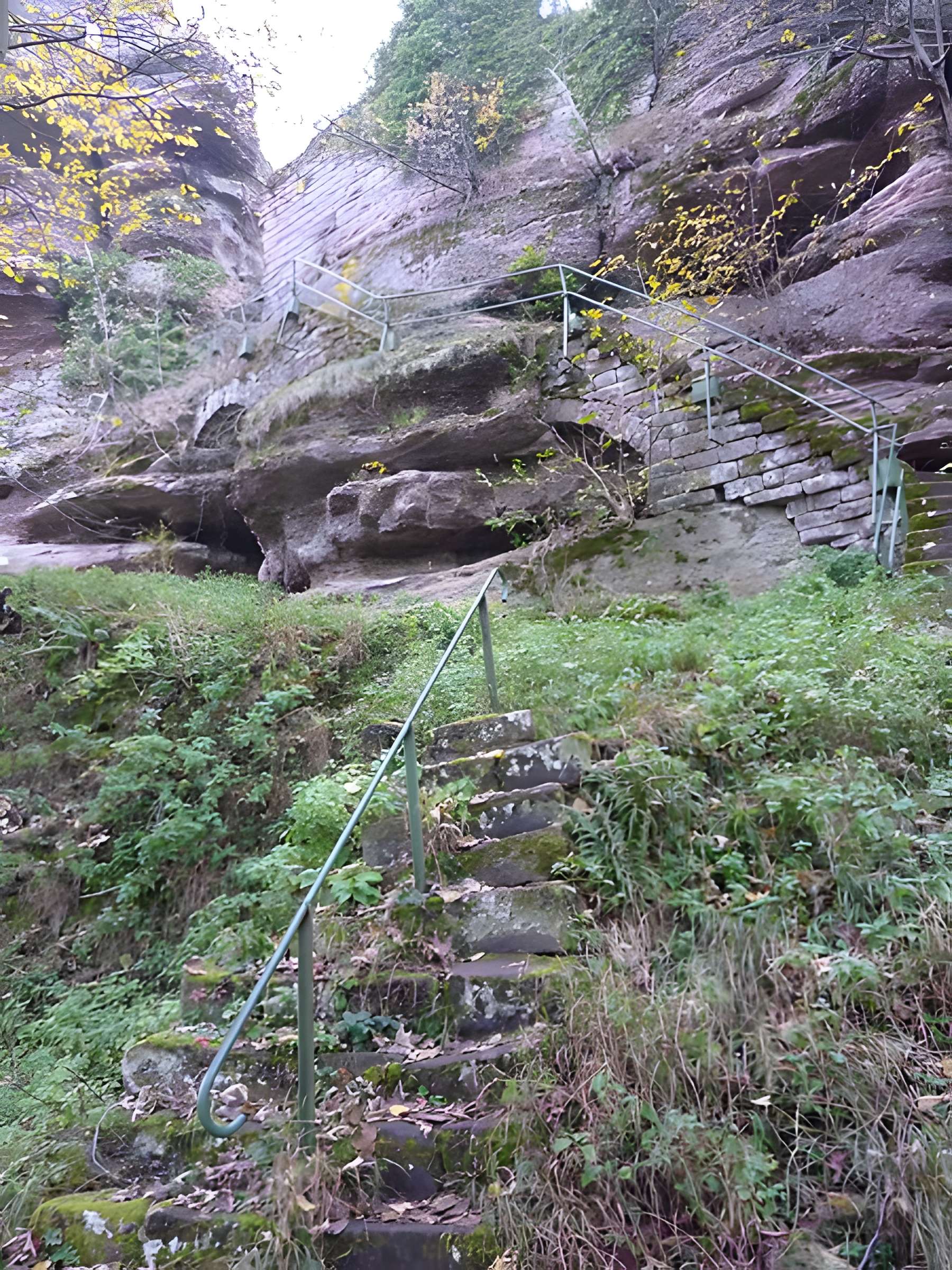 Ruines du château Ochsenstein
