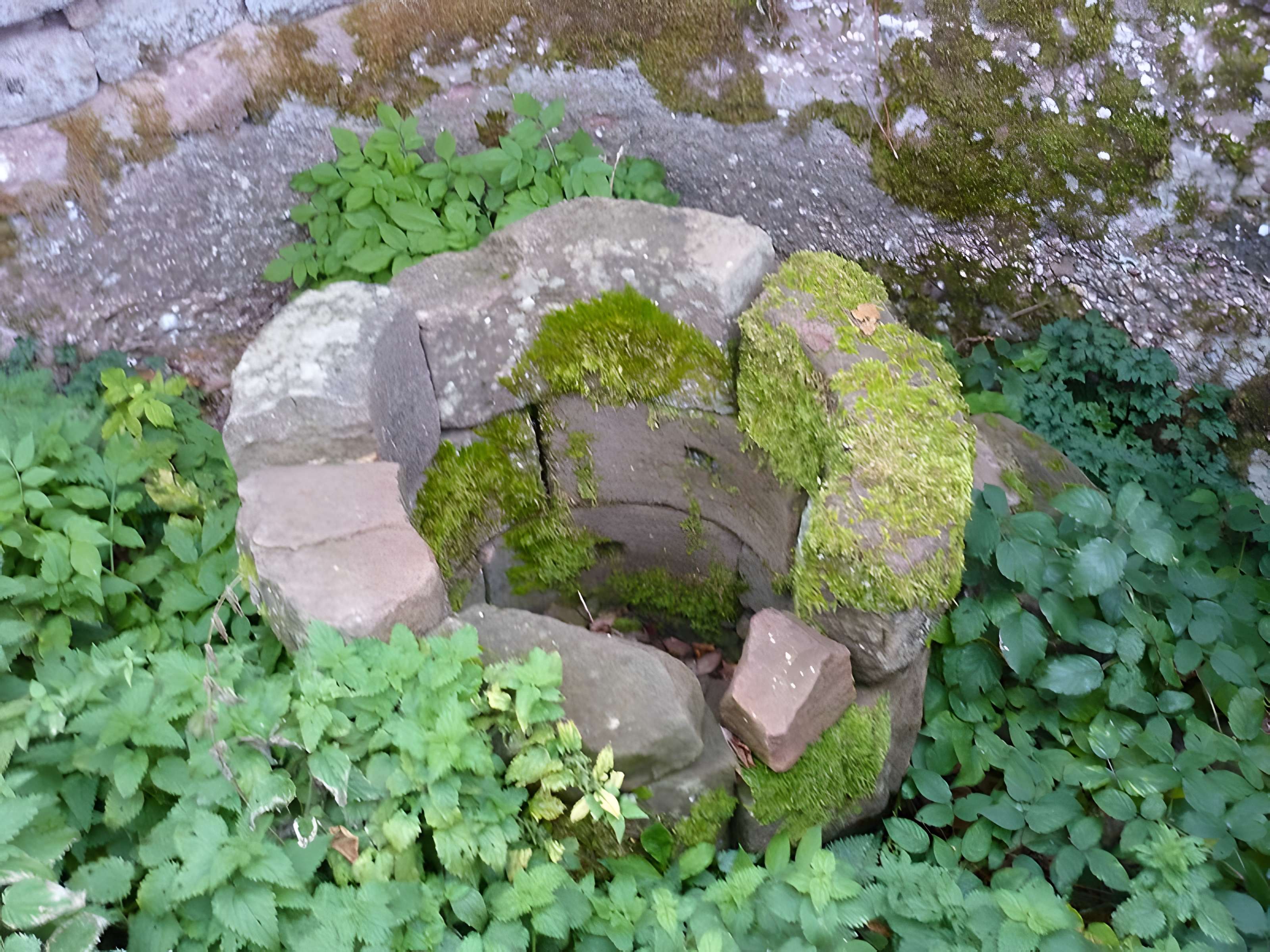Ruines du château Ochsenstein
